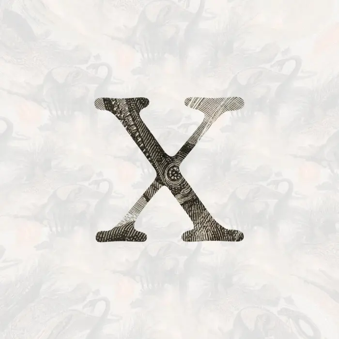 Portada de Futurología - X